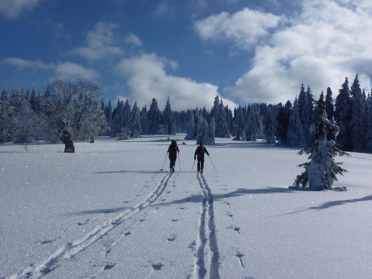 Hotel Zur Waldbahn 4*